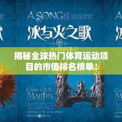 揭秘全球熱門體育運動項目的市值排名榜單！