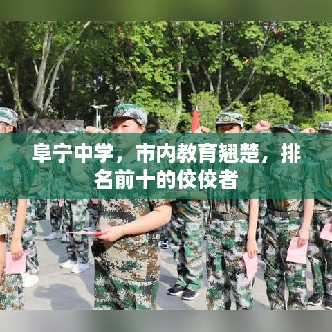 阜寧中學(xué)，市內(nèi)教育翹楚，排名前十的佼佼者