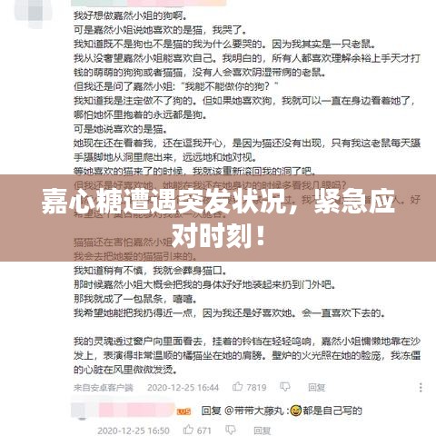 嘉心糖遭遇突發(fā)狀況，緊急應(yīng)對時(shí)刻！