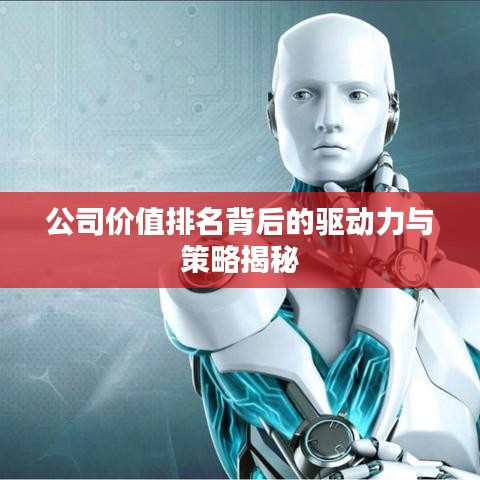 公司價值排名背后的驅(qū)動力與策略揭秘
