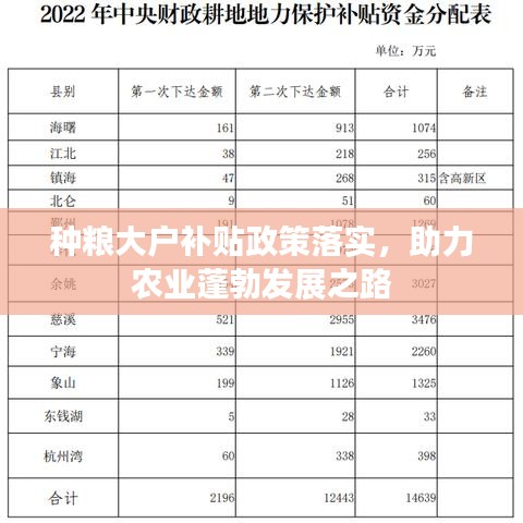 種糧大戶補(bǔ)貼政策落實(shí)，助力農(nóng)業(yè)蓬勃發(fā)展之路