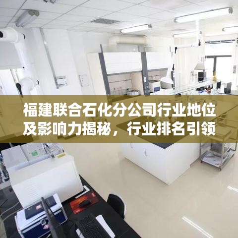福建聯(lián)合石化分公司行業(yè)地位及影響力揭秘，行業(yè)排名引領(lǐng)石化風(fēng)潮