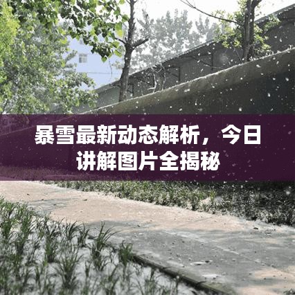 暴雪最新動態(tài)解析，今日講解圖片全揭秘