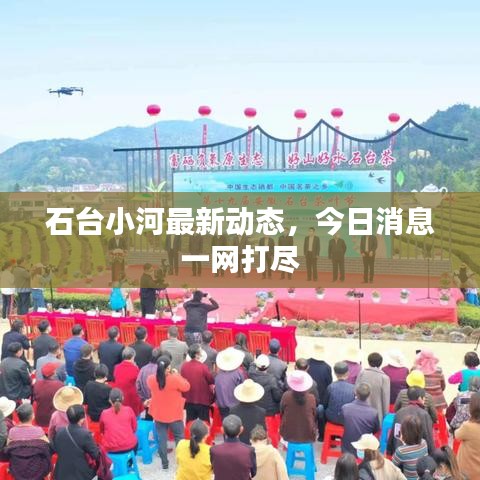 石臺小河最新動態(tài)，今日消息一網(wǎng)打盡
