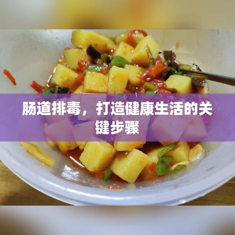 腸道排毒，打造健康生活的關(guān)鍵步驟
