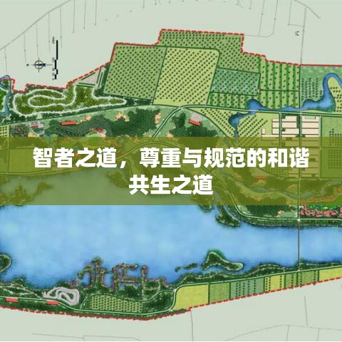 智者之道，尊重與規(guī)范的和諧共生之道
