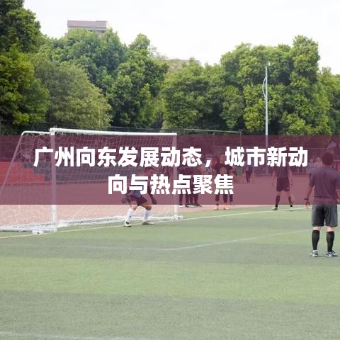 廣州向東發(fā)展動態(tài)，城市新動向與熱點聚焦
