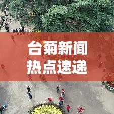 臺菊新聞熱點速遞，最新頭條報道搶先看！