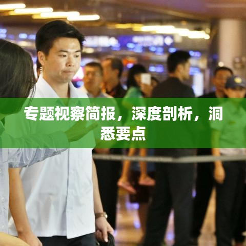 專題視察簡報，深度剖析，洞悉要點