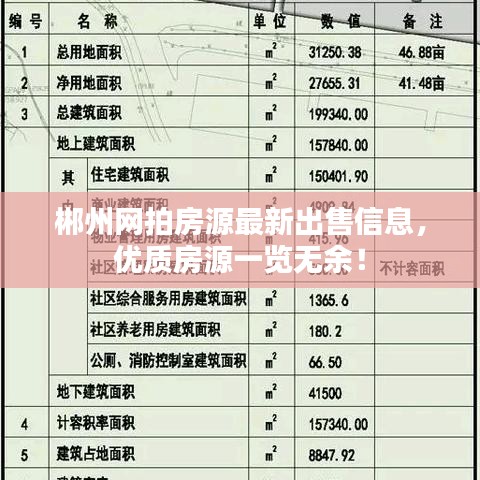 郴州網(wǎng)拍房源最新出售信息，優(yōu)質(zhì)房源一覽無(wú)余！