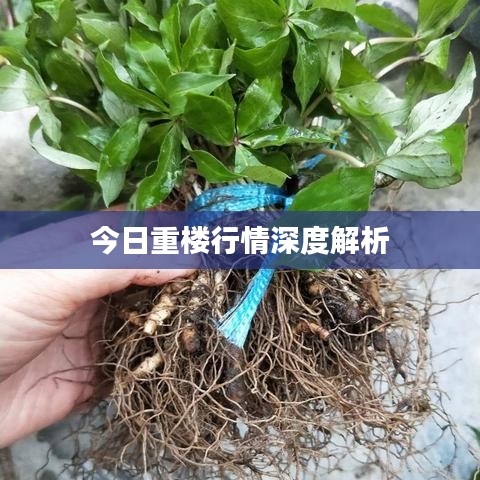 回眸最初 第2頁