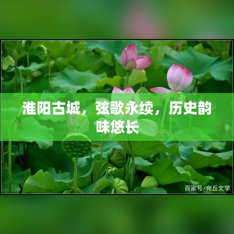 淮陽古城，弦歌永續(xù)，歷史韻味悠長