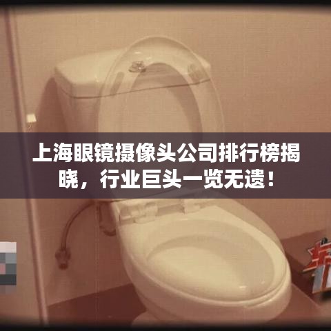 上海眼鏡攝像頭公司排行榜揭曉，行業(yè)巨頭一覽無遺！