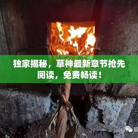 獨家揭秘，草神最新章節(jié)搶先閱讀，免費暢讀！