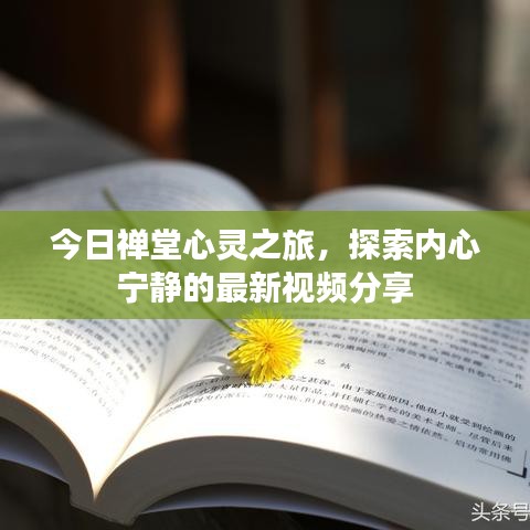今日禪堂心靈之旅，探索內(nèi)心寧靜的最新視頻分享