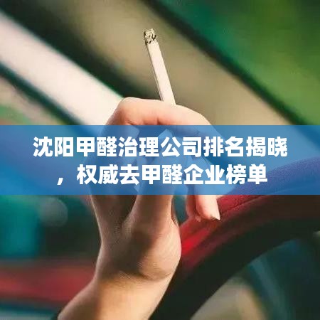 沈陽甲醛治理公司排名揭曉，權(quán)威去甲醛企業(yè)榜單