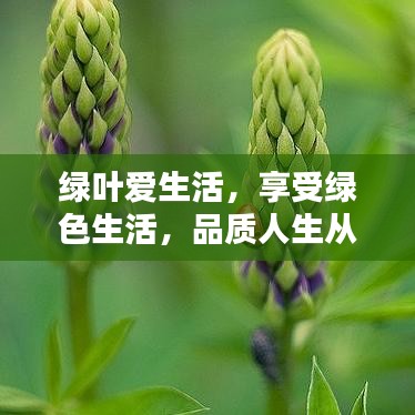 綠葉愛生活，享受綠色生活，品質(zhì)人生從這里開始！