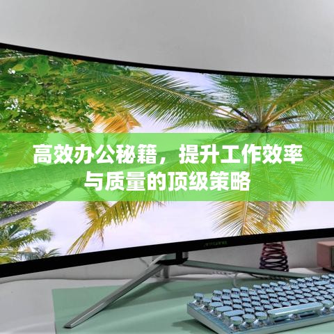高效辦公秘籍，提升工作效率與質(zhì)量的頂級策略