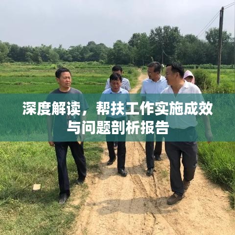深度解讀，幫扶工作實(shí)施成效與問題剖析報(bào)告
