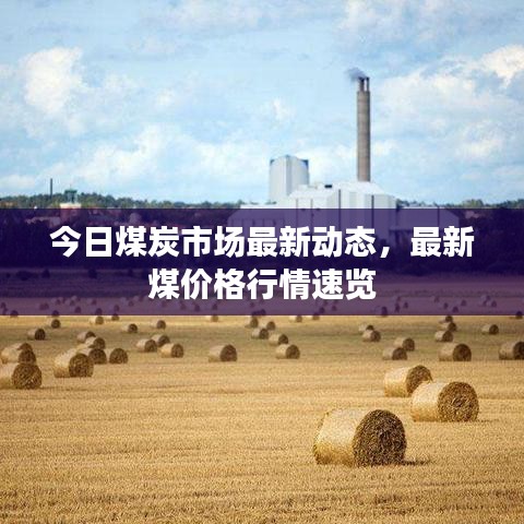 今日煤炭市場最新動態(tài)，最新煤價格行情速覽