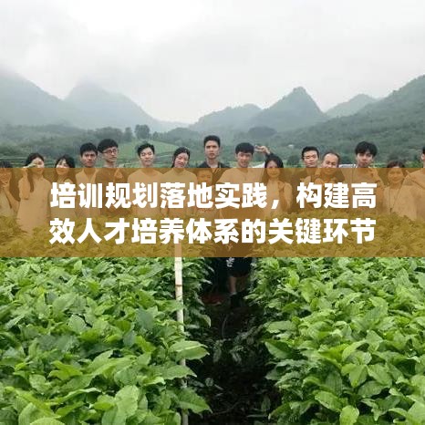 培訓(xùn)規(guī)劃落地實踐，構(gòu)建高效人才培養(yǎng)體系的關(guān)鍵環(huán)節(jié)