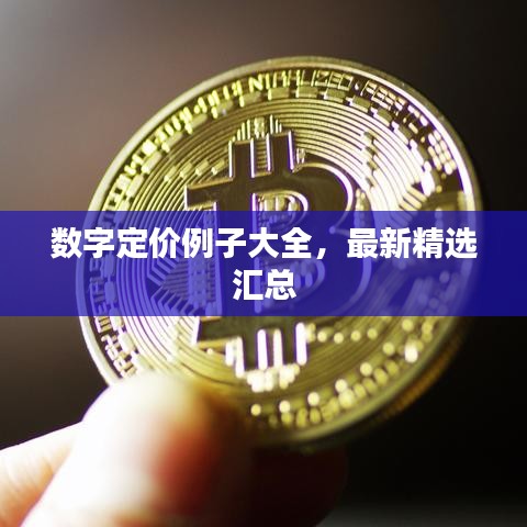 數(shù)字定價(jià)例子大全，最新精選匯總