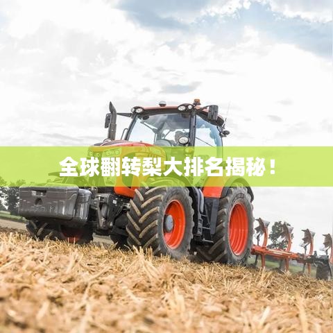 全球翻轉(zhuǎn)梨大排名揭秘！