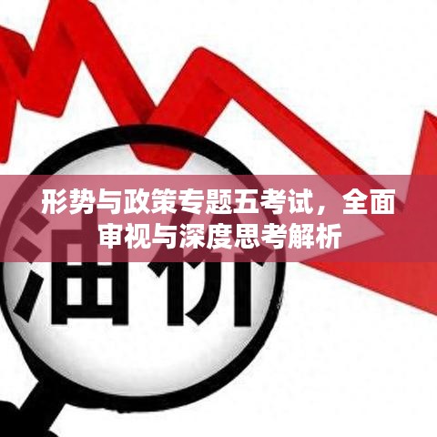 形勢與政策專題五考試，全面審視與深度思考解析