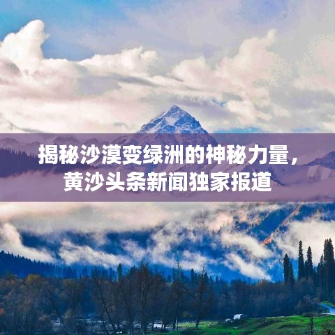 揭秘沙漠變綠洲的神秘力量，黃沙頭條新聞獨(dú)家報(bào)道