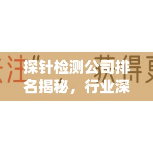 探針檢測公司排名揭秘，行業(yè)深度分析與趨勢預(yù)測