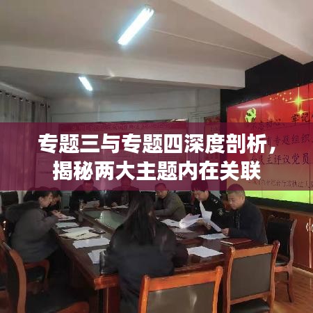 專題三與專題四深度剖析，揭秘兩大主題內(nèi)在關(guān)聯(lián)