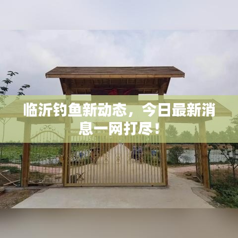 臨沂釣魚(yú)新動(dòng)態(tài)，今日最新消息一網(wǎng)打盡！