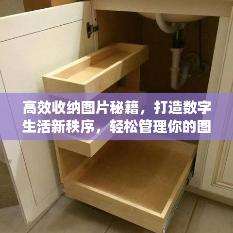 高效收納圖片秘籍，打造數(shù)字生活新秩序，輕松管理你的圖片世界！