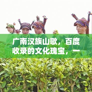 廣南漢族山歌，百度收錄的文化瑰寶，一曲傳承千年的旋律