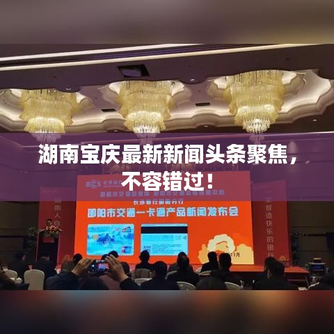 湖南寶慶最新新聞頭條聚焦，不容錯過！