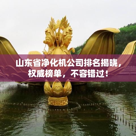 山東省凈化機(jī)公司排名揭曉，權(quán)威榜單，不容錯(cuò)過！