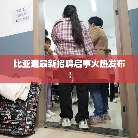 比亞迪最新招聘啟事火熱發(fā)布！