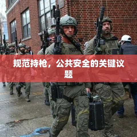 規(guī)范持槍?zhuān)舶踩年P(guān)鍵議題