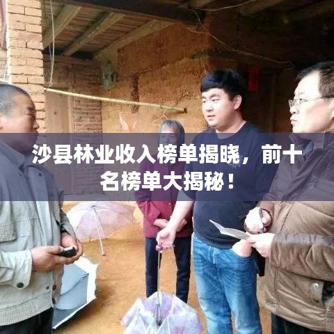沙縣林業(yè)收入榜單揭曉，前十名榜單大揭秘！